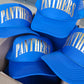 Panthers Puff Trucker