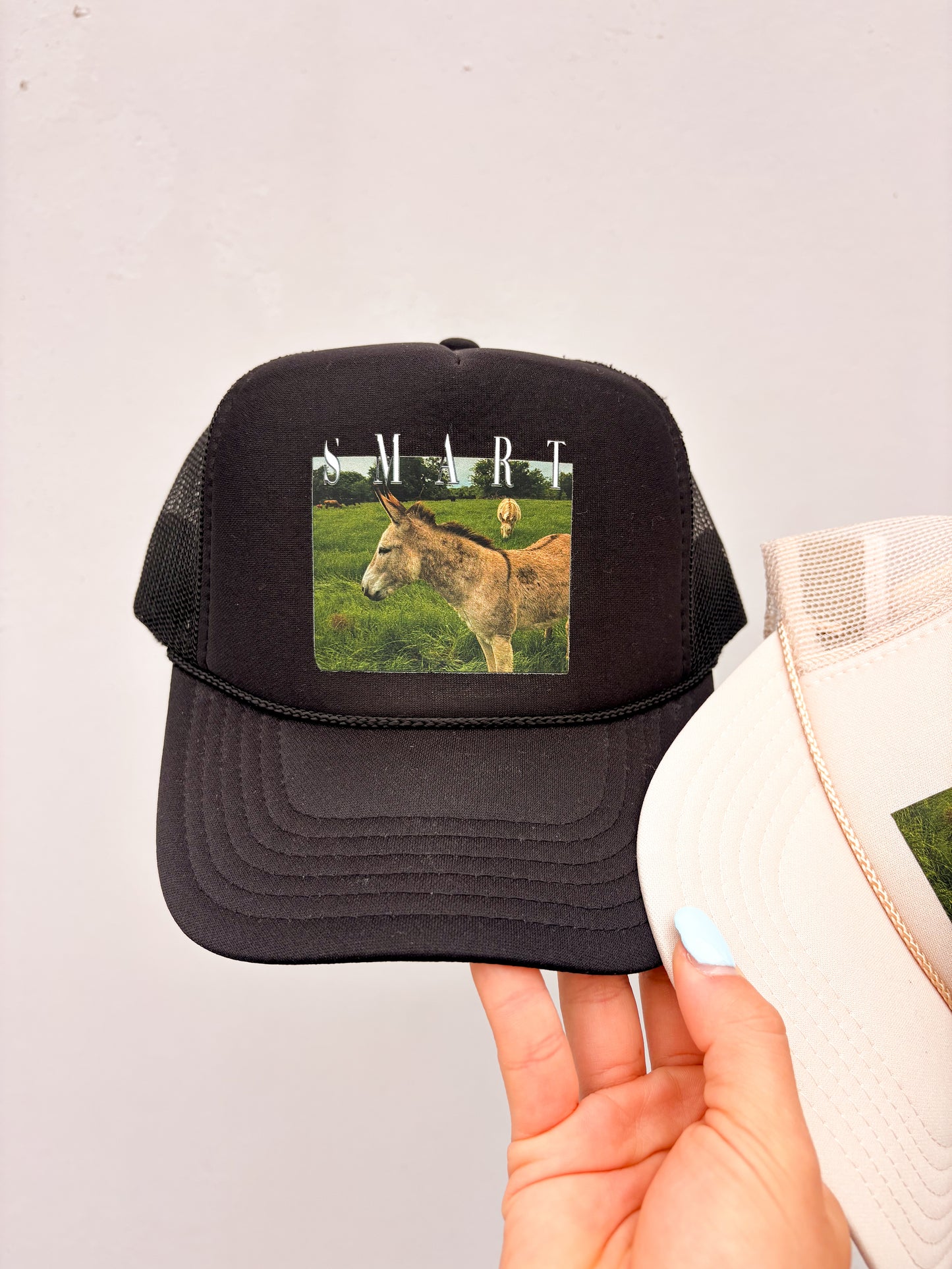 Smart A* Trucker