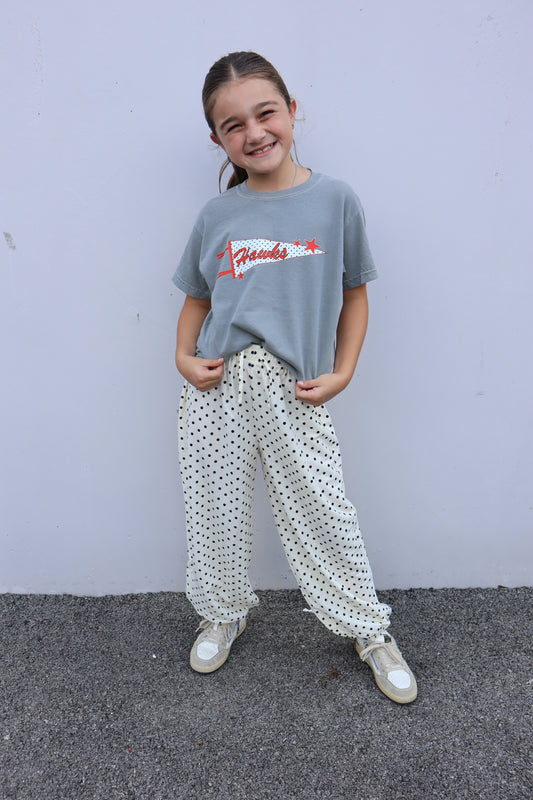 Youth Hawks Pennant Tee