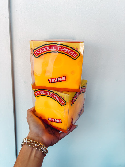 Jumbo Cheese Squishy