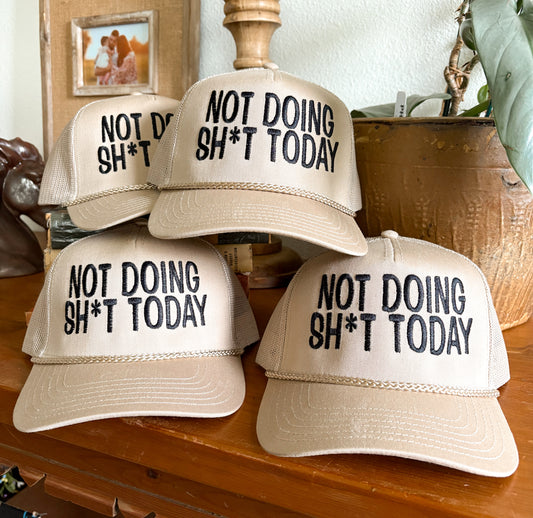 Not Doing Sh*t Today Trucker
