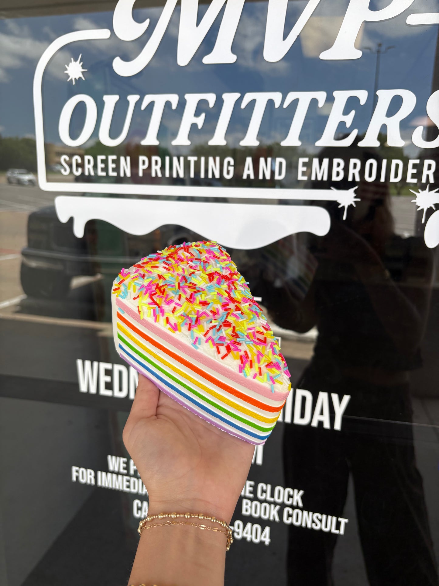 Sprinkle Cake Squishy